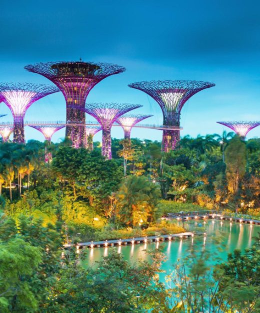 GARDEN BY THE BAY - SINGAPORE