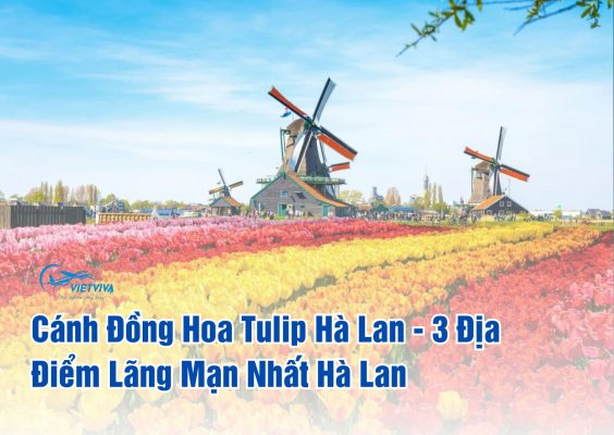 cánh đồng hoa tulip hà lan