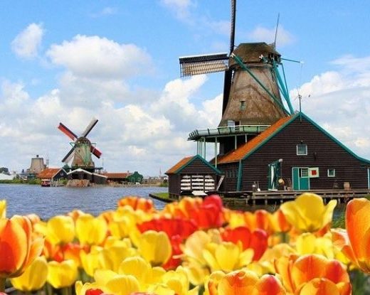 Khám phá chuyến du lịch Hà Lan ưu đãi cùng Vietviva Travel