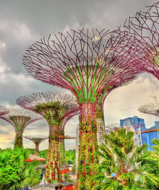 GARDEN BY THE BAY