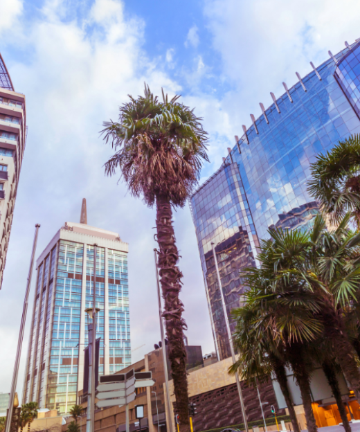 JOHANNESBURG - NAM PHI