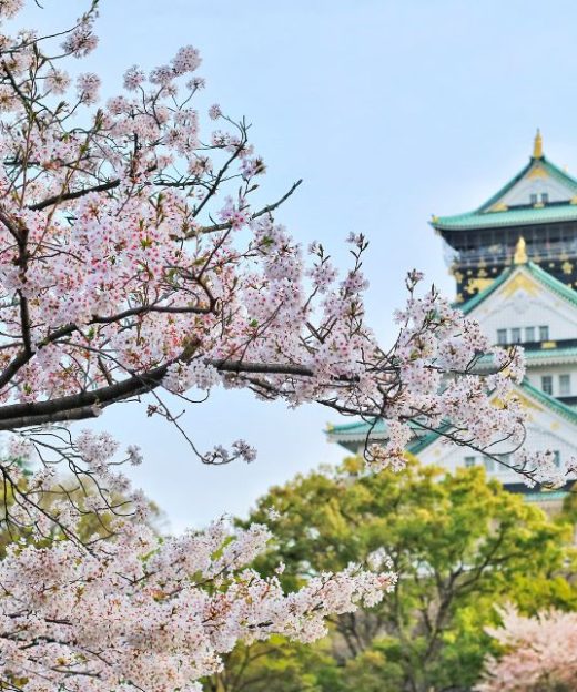 LÂU ĐÀI OSAKA - NHẬT BẢN