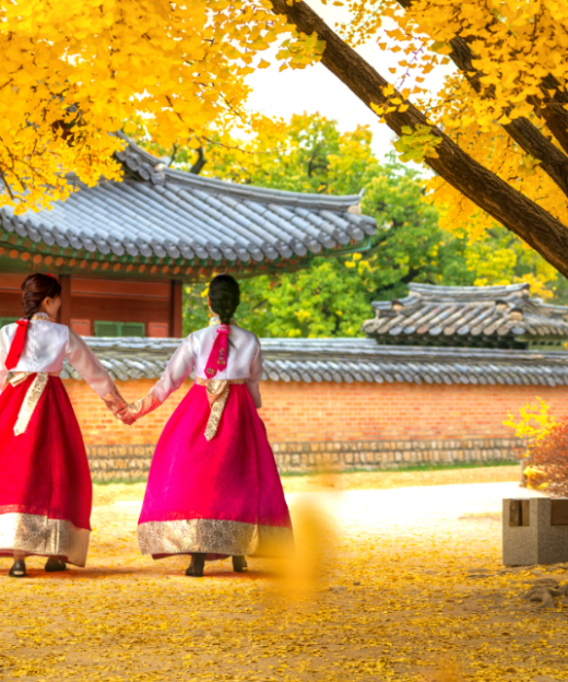 MÙA LÁ VÀNG HÀN QUỐC