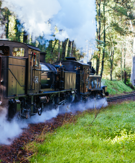 XE LỬA HƠI NƯỚC PUFFING BILLY - MELBOURNE