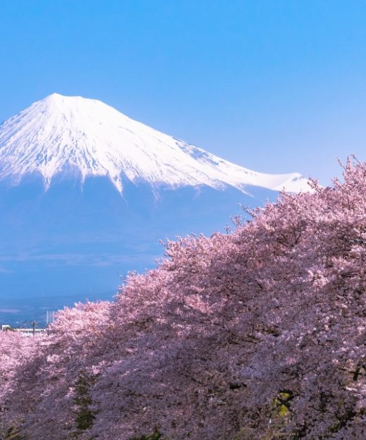 Núi Phú Sĩ ở Nhật Bản