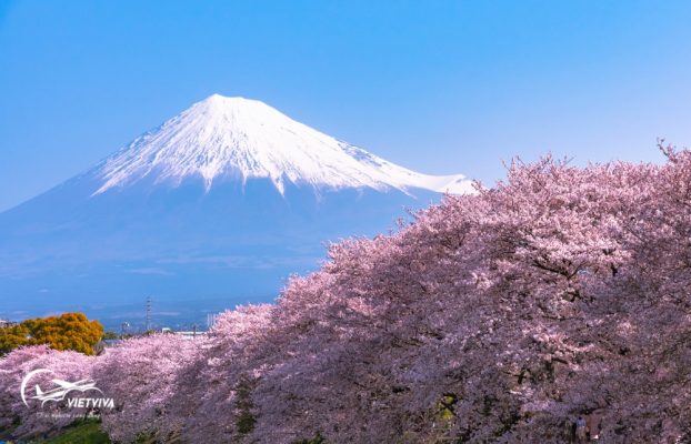 Núi Phú Sĩ ở Nhật Bản 