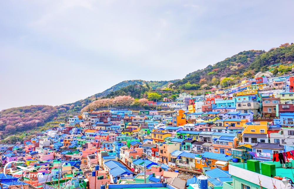 lang-Gamcheon-Busan-Han-quoc Làng Gamcheon - Busan