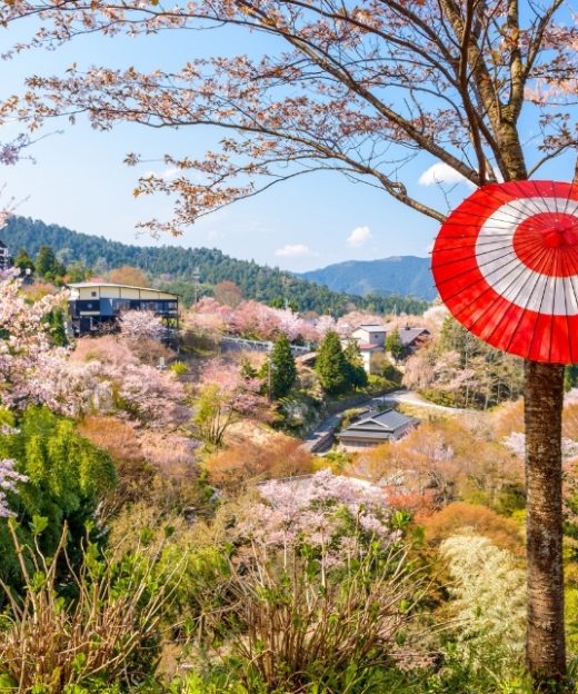 Làng cổ Yoshinoyama